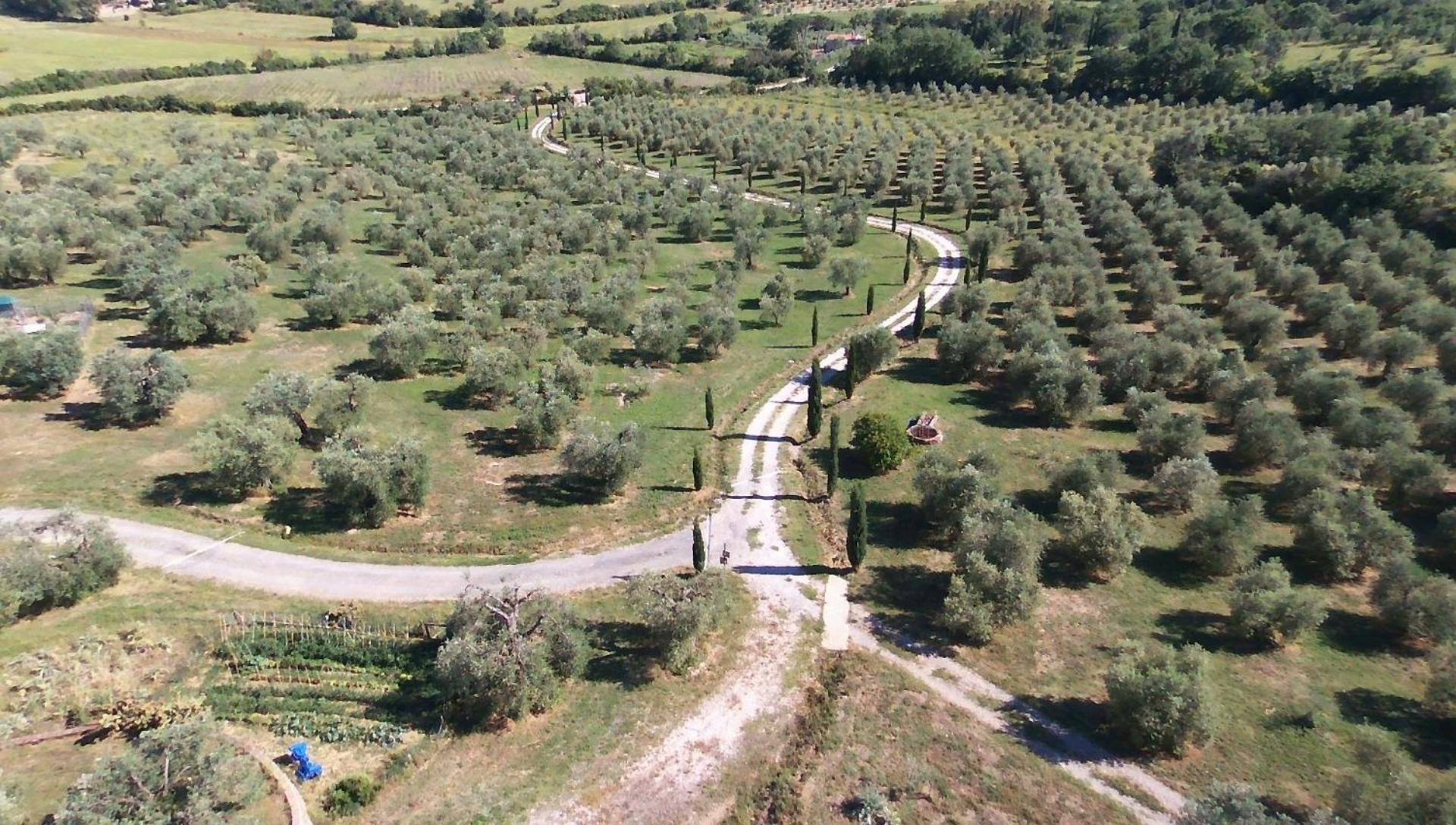 Casetta Dell'Uliveto Macchiascandona Exterior foto